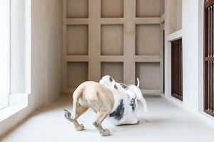 Jon Rafman, 'Dog/Lion' (2016). Installation view: Sharjah Biennial 13, ‘Tamawuj,’ Sharjah, UAE (10 March–12 June 2017). © Ocula. Photo: Charles Roussel.